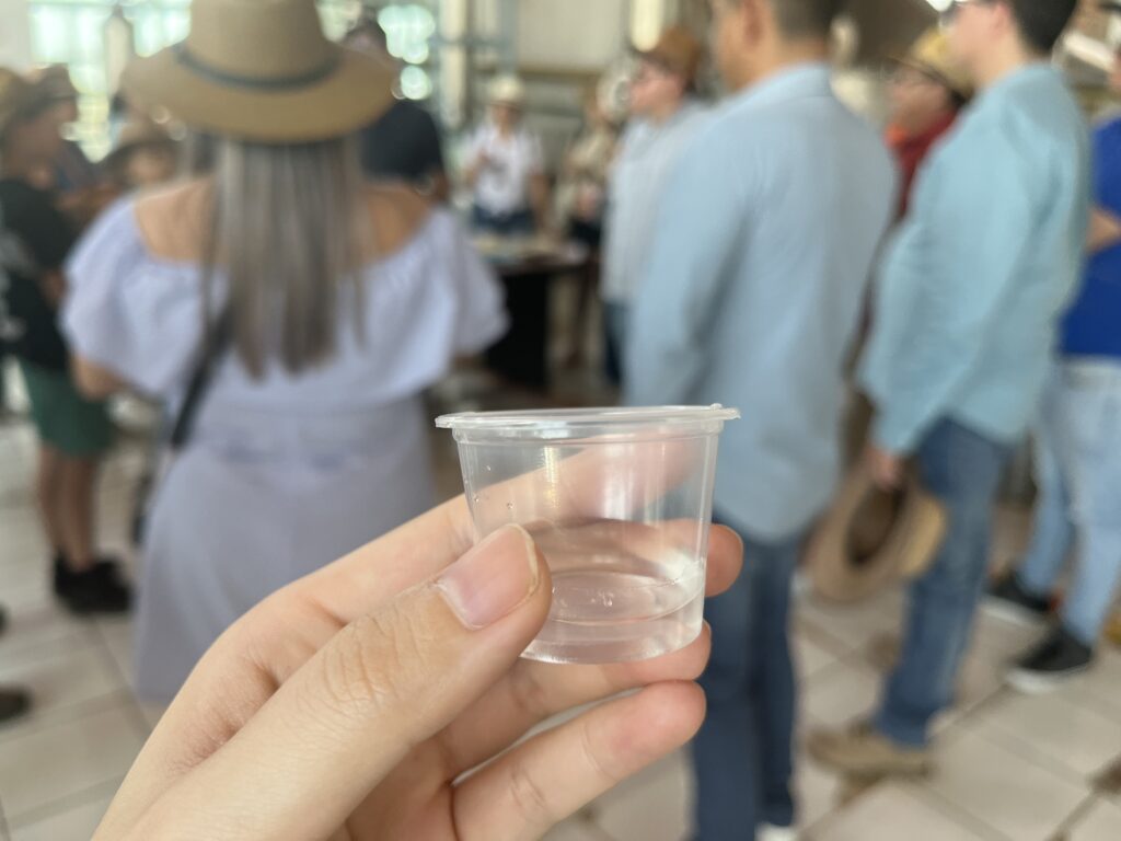 出来立てテキーラの試飲