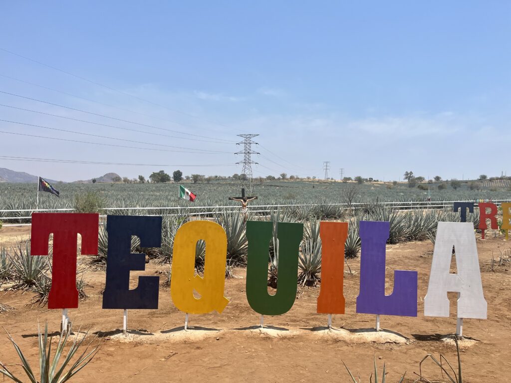 アガベ畑の中にあるTEQUILAの文字のフォトスポット